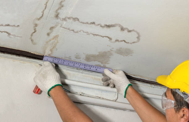 Reliable Water Damage Repair contractor in USA by Hirex Water Damage